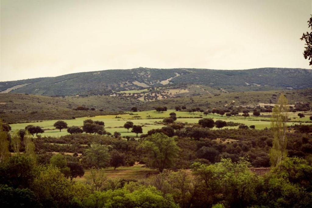 Casa Rural Encinar De Las Flores Los Navalucillos 外观 照片